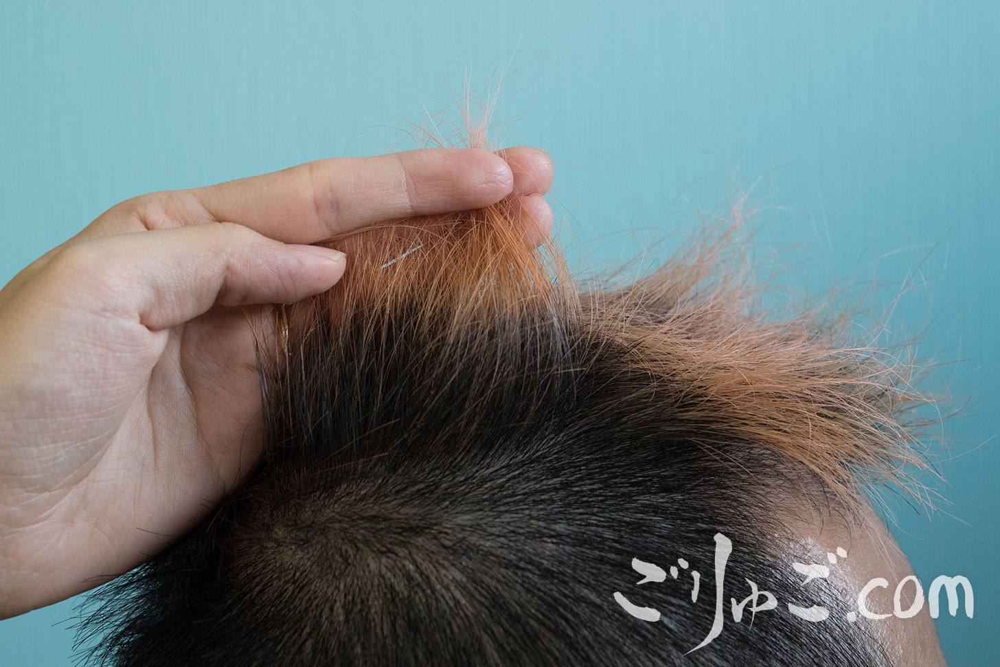 458f431f8d3adecd0cb2ebc7743273d6_MD5