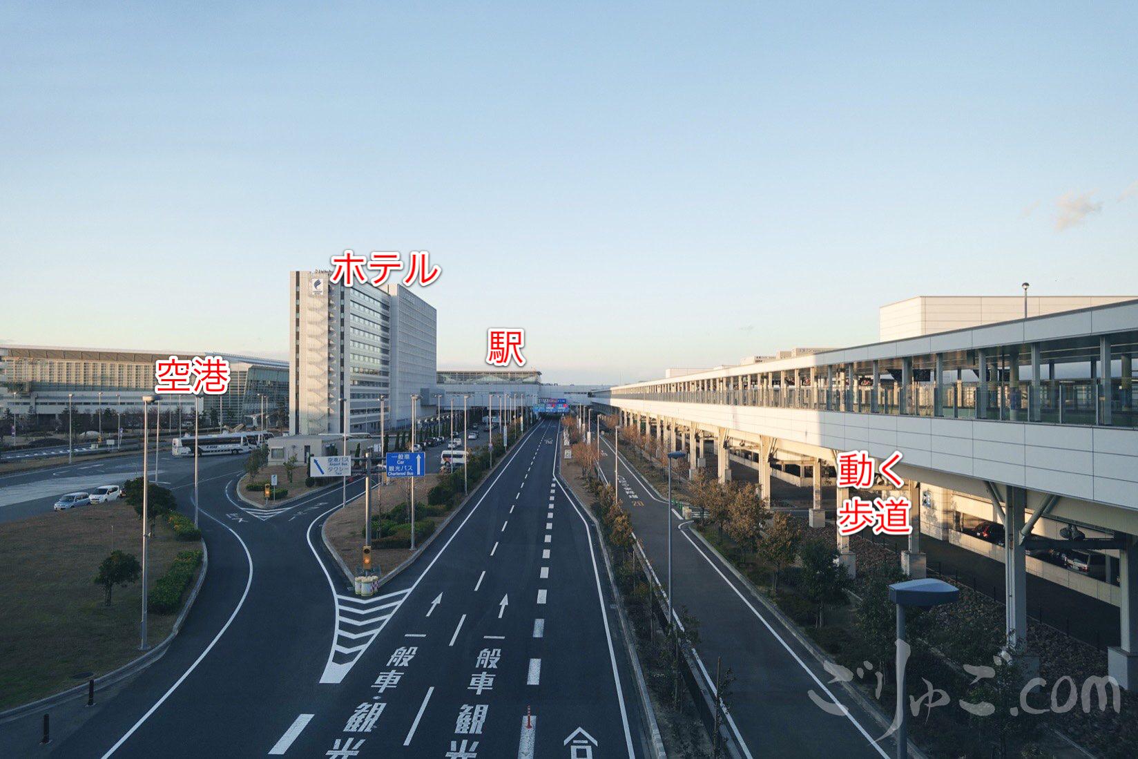 IMG_778C923F2DB6-1-1