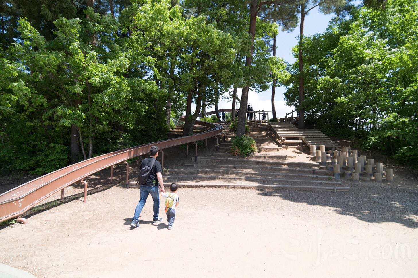 Image-2017-06-02-17-08