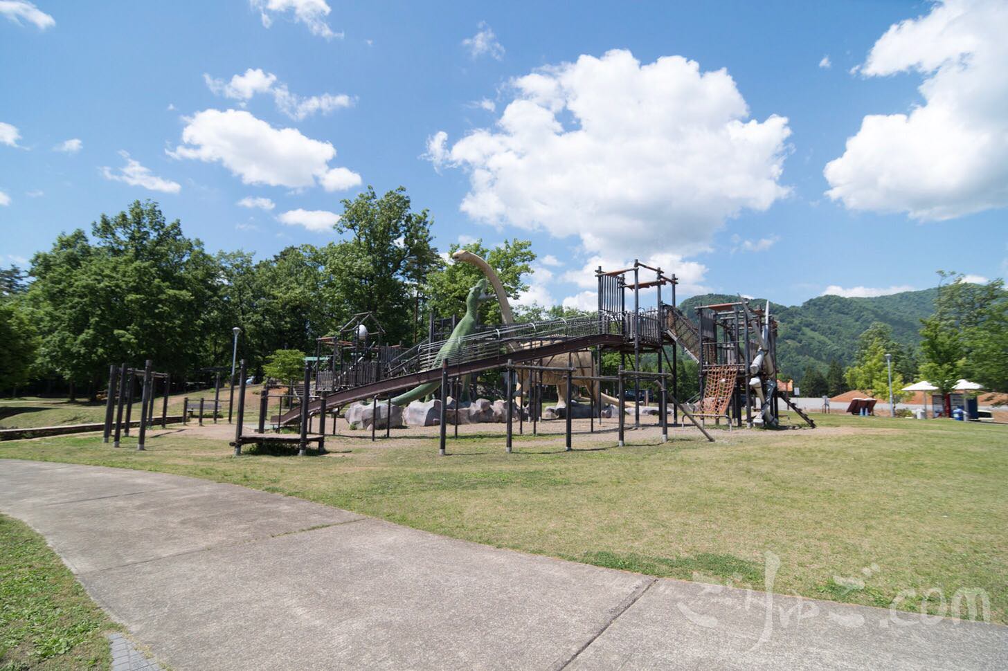 Image-2017-06-02-17-24