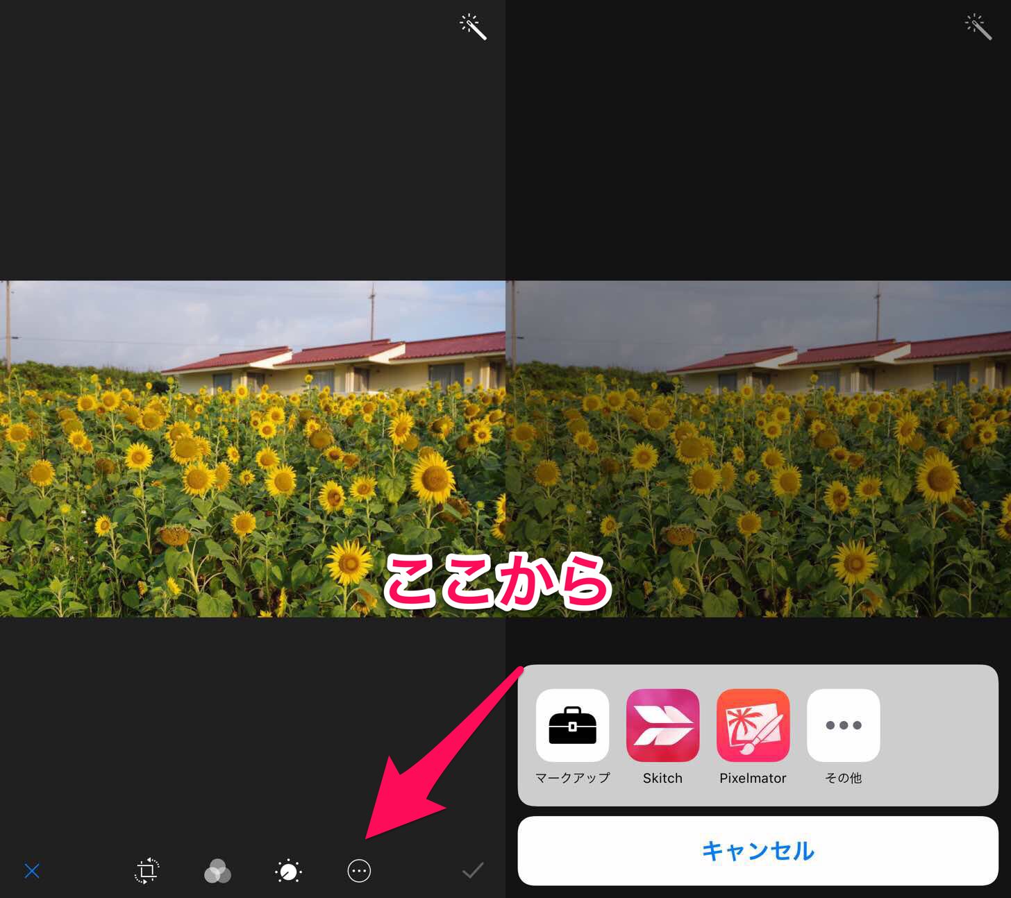 Image-2017-06-25-22-28